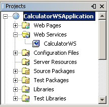 Projects window displaying the web service