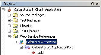 New web service client in Java SE application displayed in the Projects window