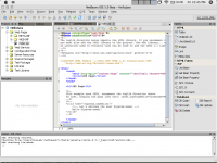 NetBeans 5.0 on Mac OSX - click to enlarge - 117 Kb